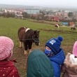 Rozloučení před Vánoci