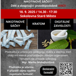 Nikotinové sáčky, kratom a digitální závislosti